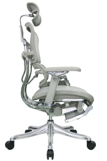 Ergohuman Luxury HB With Foot Rest And Laptop Holder