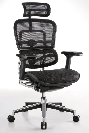 Ergohuman All Mesh HB chairs