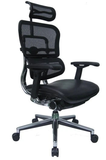 Ergohuman Back Mesh- seat Leather HB Chairs