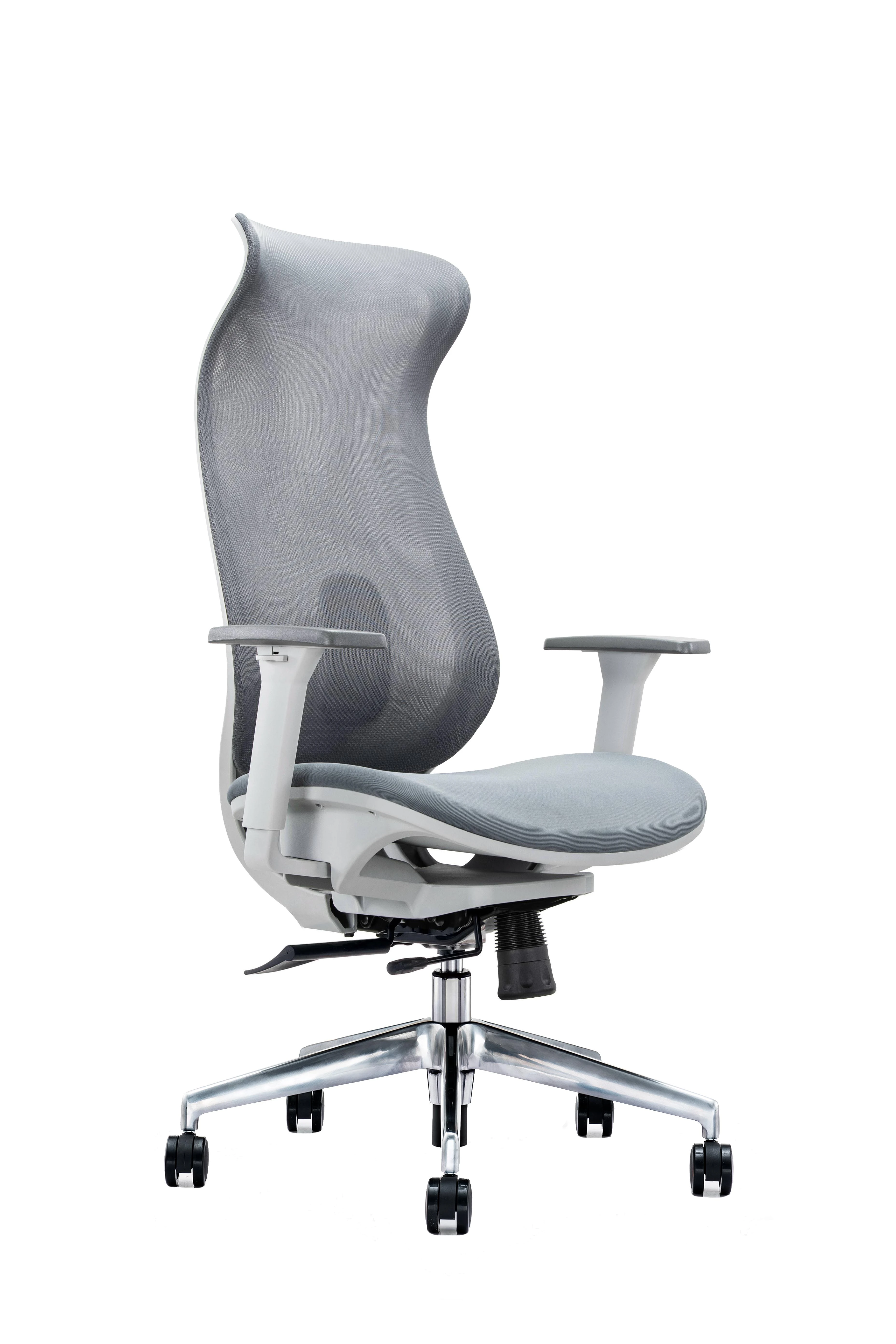 Curve Chairs