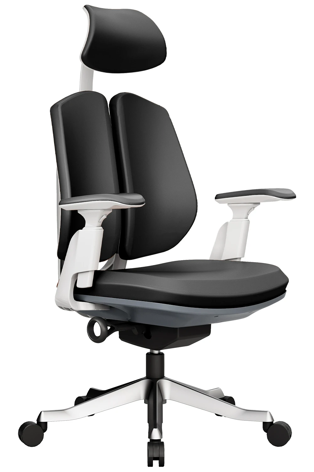 Ortho HB Chairs