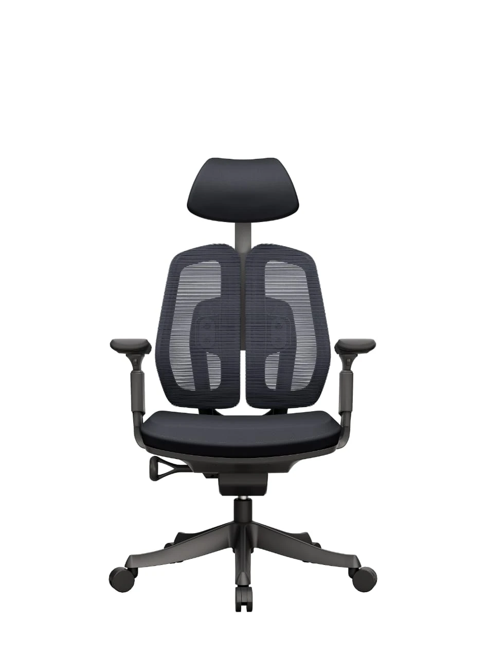 Mesh Chair with Adjustable Height & Lumbar, Molded arm Rest-(Black)